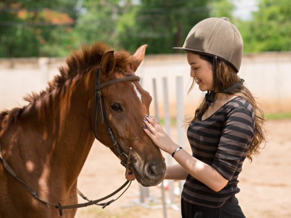 hippotherapy