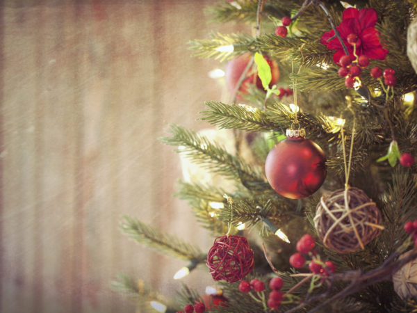 Allergic To The Holidays? | Pine Trees | Andrew Weil, M.D.