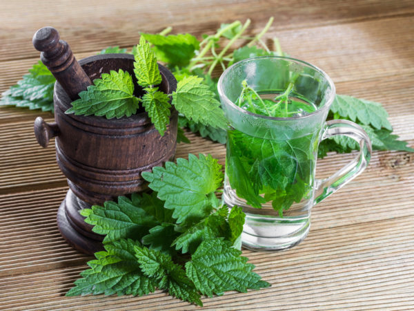 Tea with fresh nettles on a wooden background