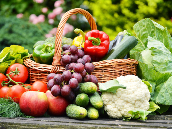 Fresh organic vegetables in wicker basket in the garden