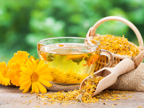 Cup of healthy marigold tea and calendula flowers.