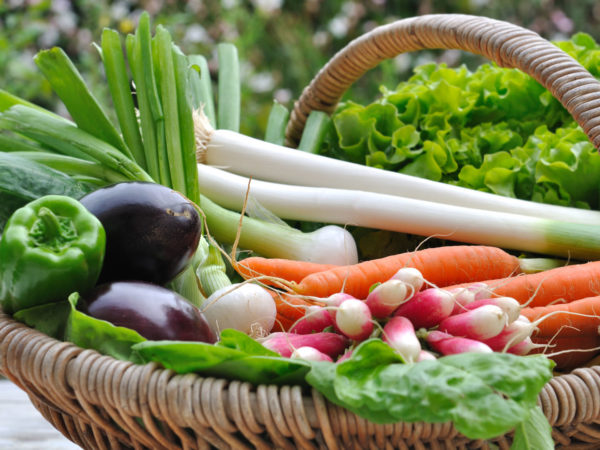 fresh vegetables in a wicker basket