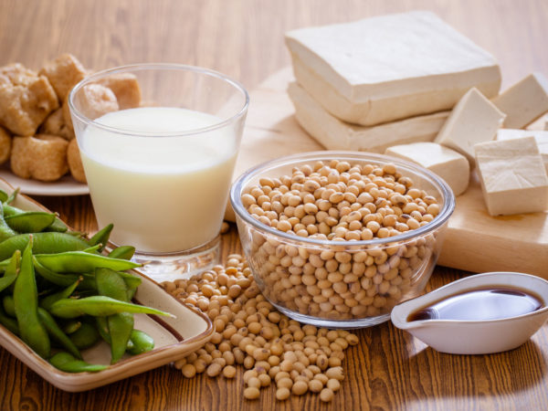 Soy bean, tofu and other soy products