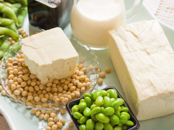 Soy Products. Soy Bean Food and Drink Products Photograph with Several Elements including loose bean,tofu, and soy milk. Full block of tofu.  Half block of tofu sitting on plate of loose soy beans. Green beans in black square bowl. Glass filled with soy milk.