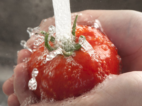 Womans hands washing a tomato under running water