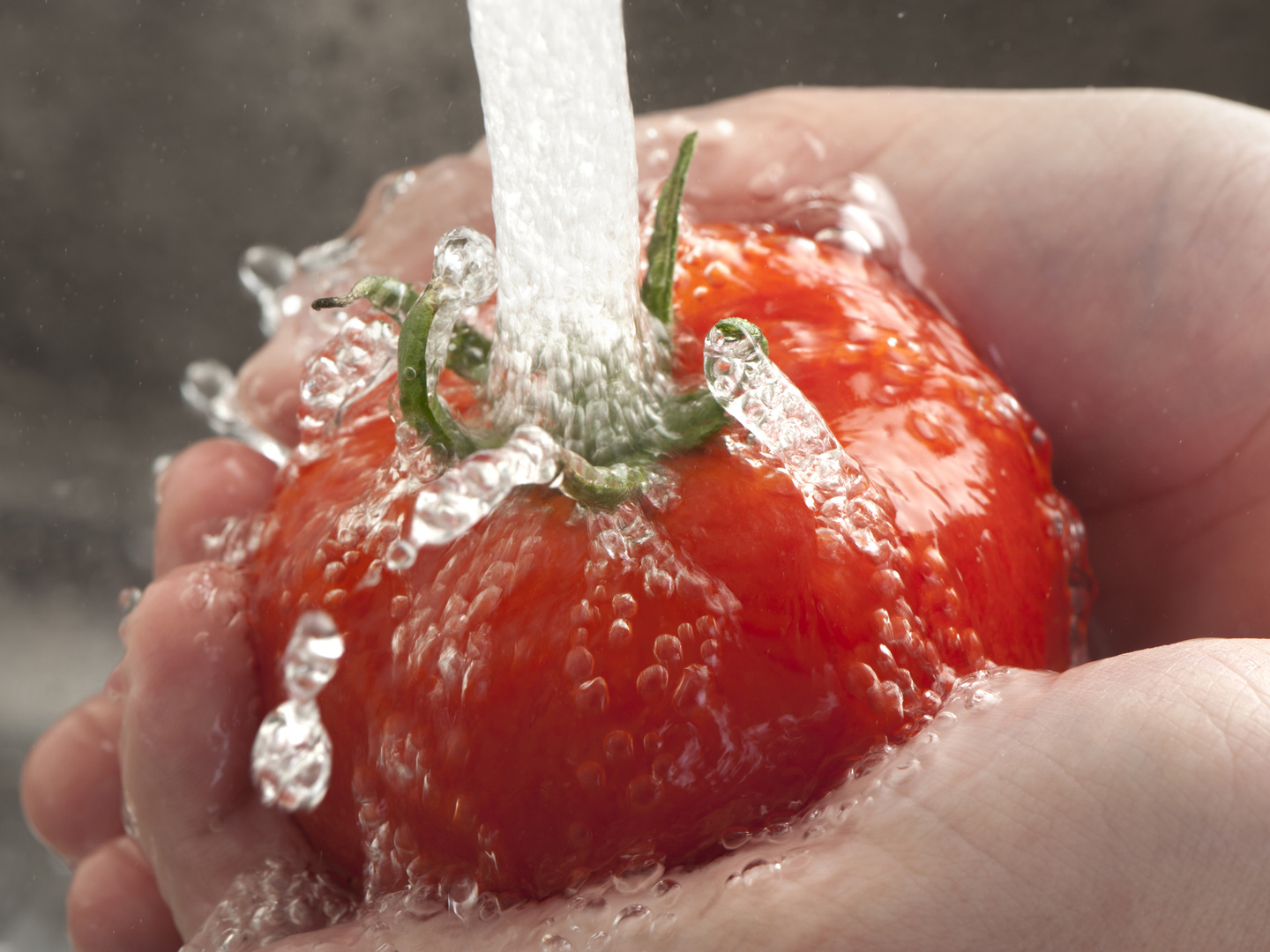 Womans hands washing a tomato under running water