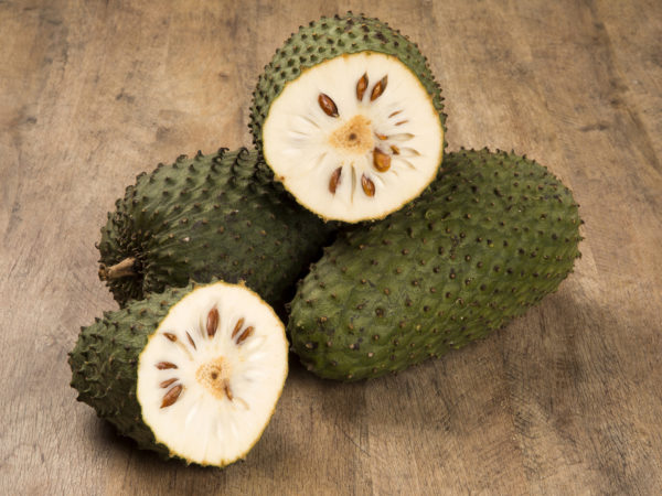 Sour sop, Prickly Custard Apple. (Annona muricata L.) Treatment of cancer.