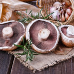 mushrooms to curb cancer