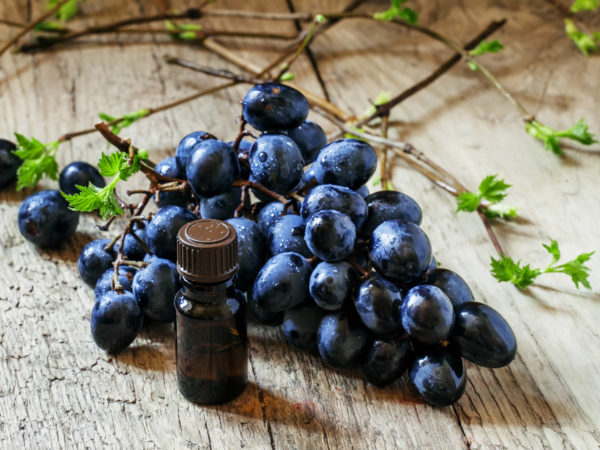 Essential oil of grape, vine, blue grapes, old wooden background, selective focus