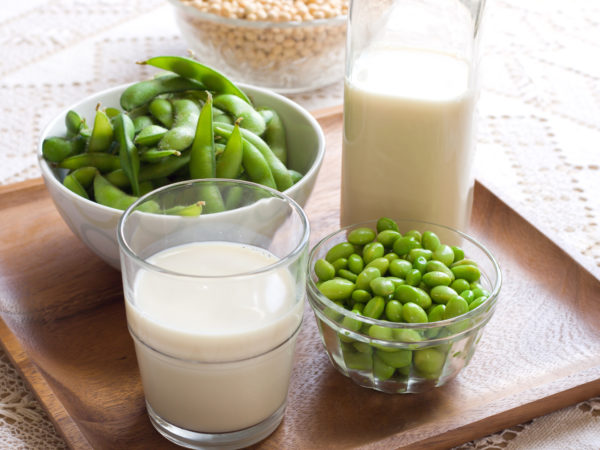 Concept image - Soy Milk, fresh &amp; dry soybeans