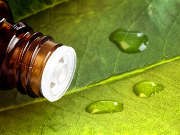 Leaf with water drops on the bottle for alternative medicine