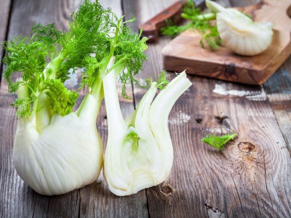 Fennel | Herbal Remedies | Andrew Weil, M.D.