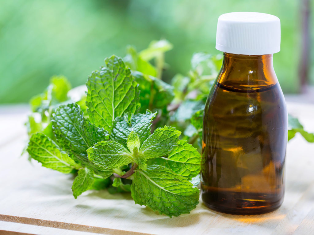 Natural Mint Essential Oil in a Glass Bottle with Fresh Mint Leaves