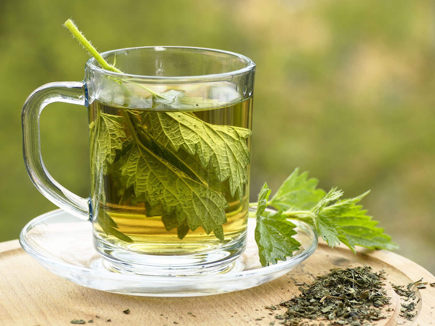 Nettle tea in glass. Fresh and dry nettle.