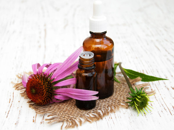 bottle with essence oil with purple echinacea on a wooden background