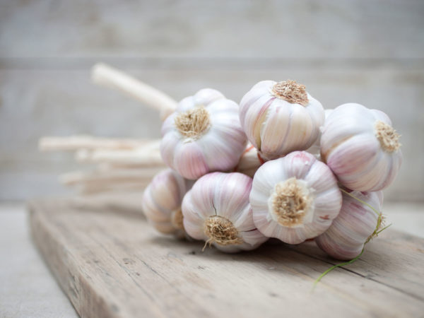 Garlic | Herbal Remedies | Andrew Weil, M.D.