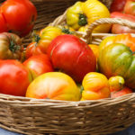 Best Place To Store Tomatoes | Weekly Bulletins | Andrew Weil, M.D.