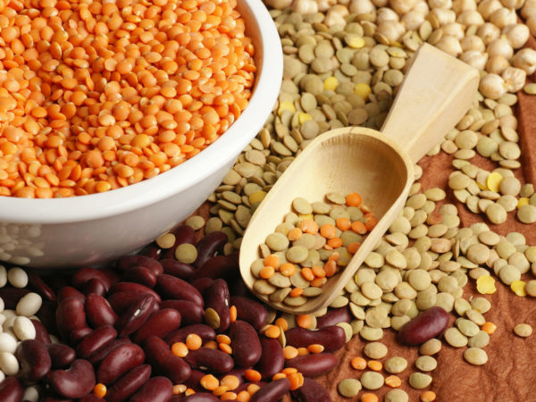 &quot;Various pulses - chickpea, lentil and beans&quot;
