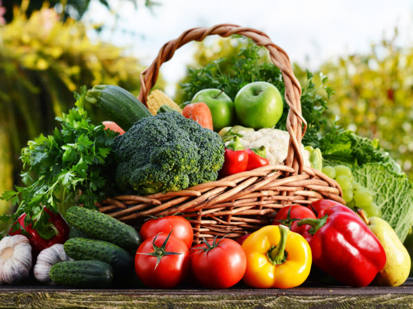 Wicker basket with assorted raw organic vegetables in the garden.