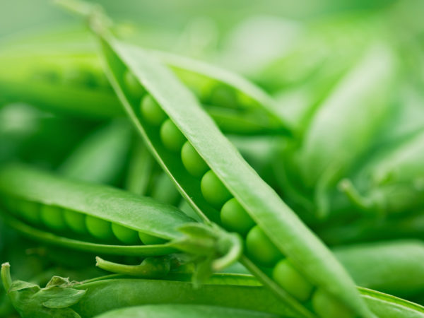 molybdenum Molybdenum | Supplements & Remedies | Andrew Weil, M.D.