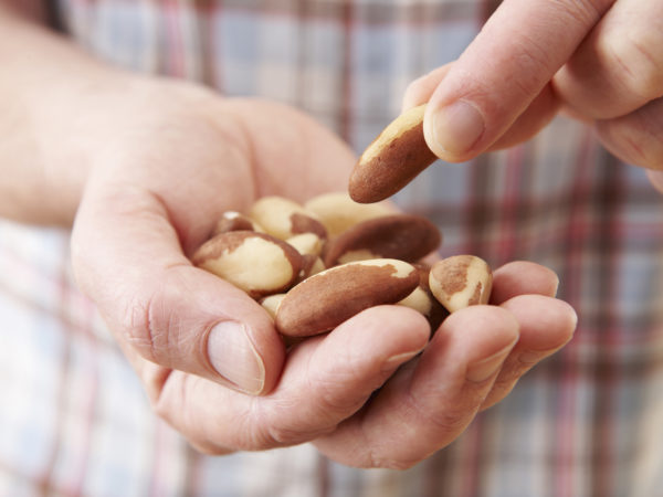 Brazil Nuts | Selenium | Supplements &amp; Remedies | Andrew Weil, M.D.