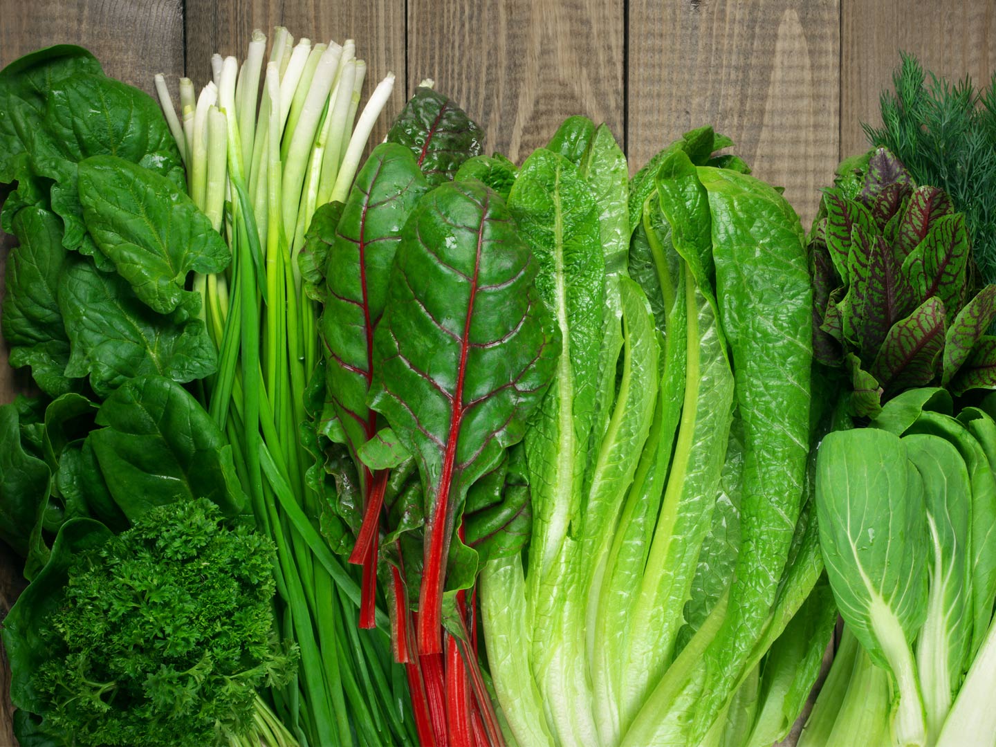blog_health-tips_Superfood-Monday-Why-Dark-Leafy-Greens-Should-Be-On-Your-Plate_512993458