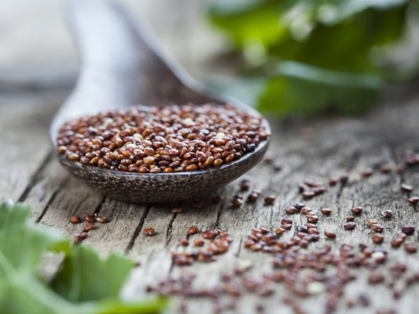 Raw red quinoa on wooden spoon and table