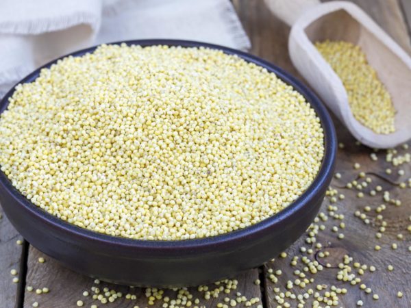 Organic millet groats in a ceramic bowl, concept for healthy eating