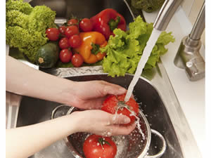 Diets &amp; Nutrition - Food Safety