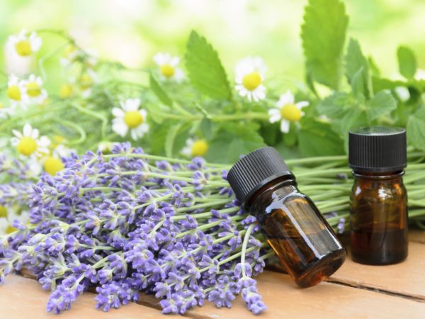 essential oils for aromatherapy treatment with herbal flowers using chamomile, lemon balm, and lavender on the wooden table