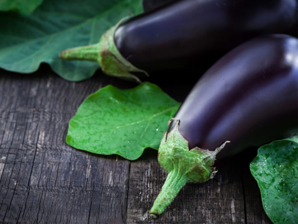 eat more eggplant