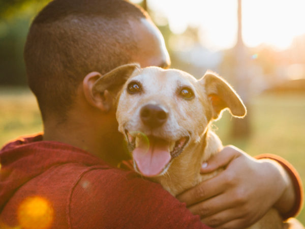 address stress with pets