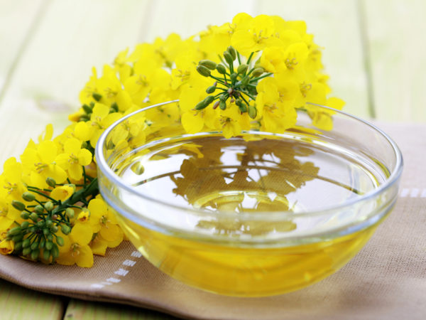 anti-inflammatory oil