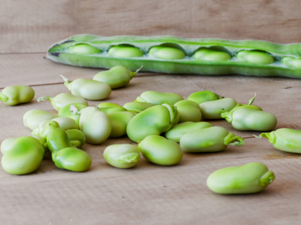 Not Loving Lima Beans? 3 Reasons To Try Them!