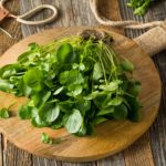 watercress for skin