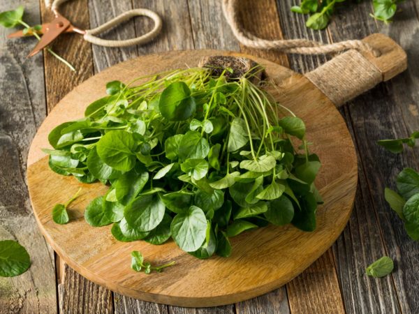 watercress for skin