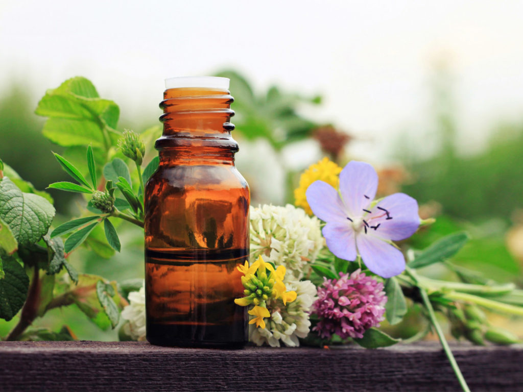 Can An Ayurvedic Herb Improve Your Memory