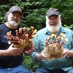 My Life With Mushrooms, Part Two | Andrew Weil, M.D.