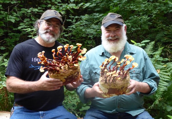 My Life With Mushrooms, Part Two | Andrew Weil, M.D.