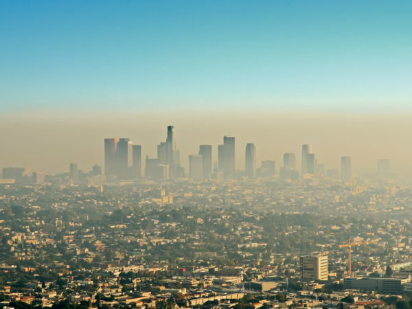 air pollution affect behavior