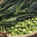 Do You Need Vitamin K? | Health Tips | Andrew Weil, M.D.