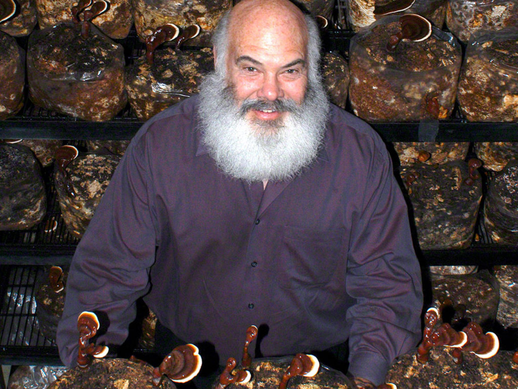dr weil loves mushroom