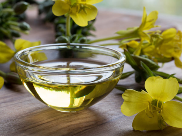Evening Primrose Oil – A Natural Anti-Inflammatory Option