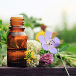 Flower Essences Address To Your Mental Outlook | Andrew Weil, M.D.