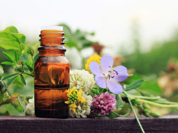 Flower Essences Address To Your Mental Outlook | Andrew Weil, M.D.