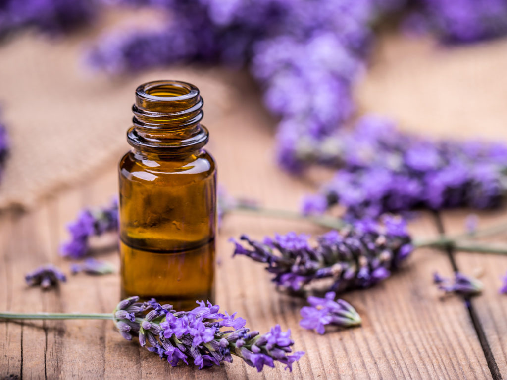 Lavender Oil Guide To Essential Oils Andrew Weil, M.D.