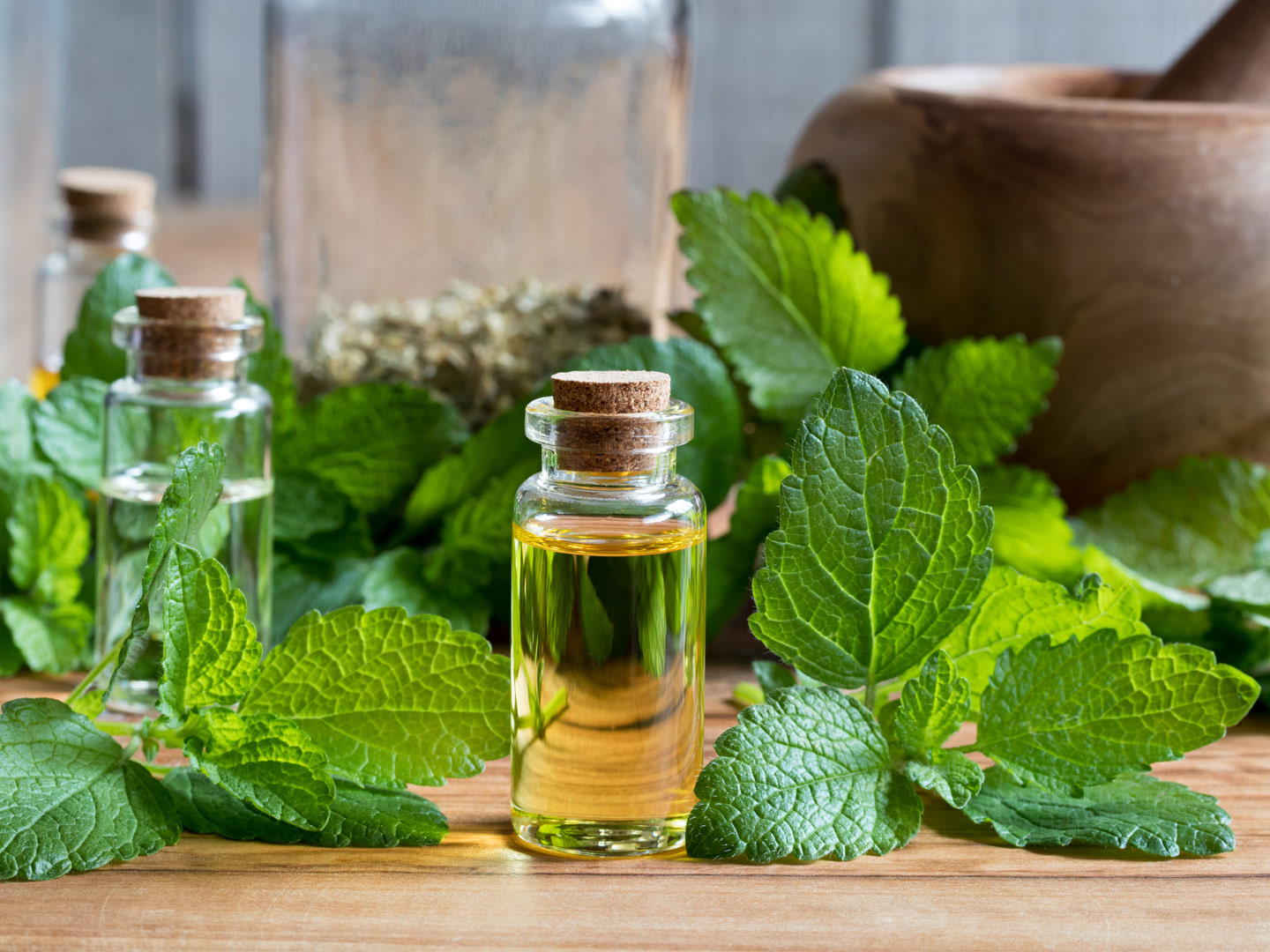 Lemon Balm Oil | Guide To Essential Oils | Andrew Weil, M.D