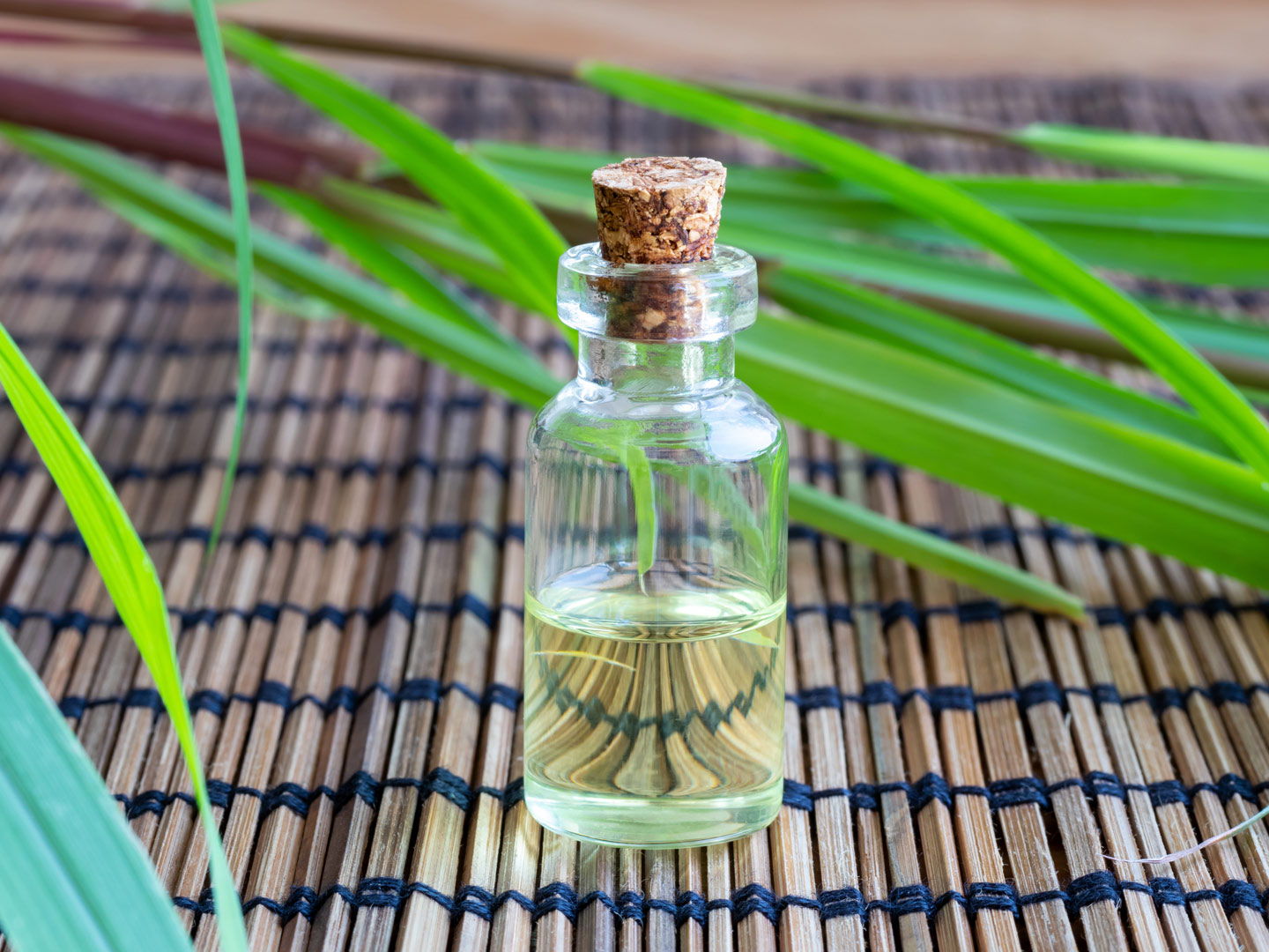 Lemongrass Essential Oil