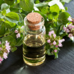 Oregano Oil | Guide To Essential Oils | Andrew Weil, M.D
