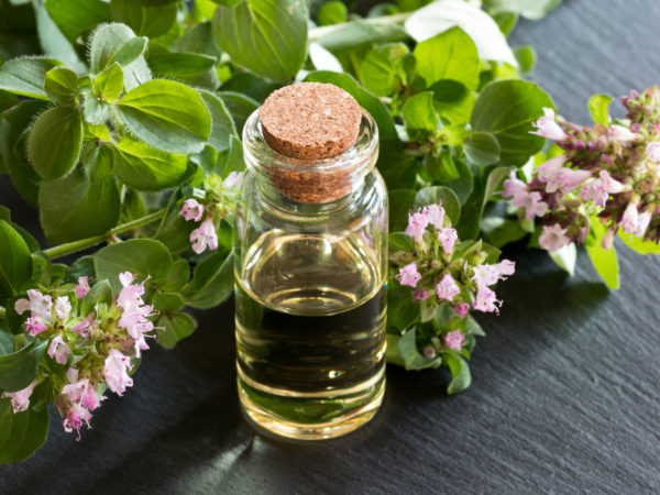 Oregano Oil | Guide To Essential Oils | Andrew Weil, M.D